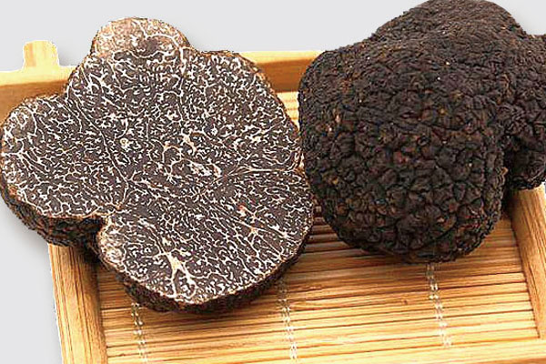 黑松露褐色好還是咖啡色 黑松露褐色好還是咖啡色