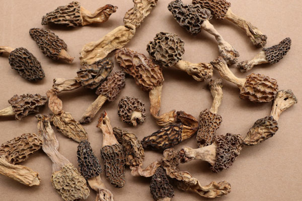 羊肚菌排骨薏米湯的技巧 羊肚菌排骨薏米湯的技巧