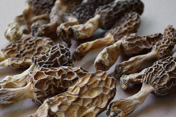 羊肚菌扁豆蟲草花湯的功效作用 羊肚菌扁豆蟲草花湯的功效作用