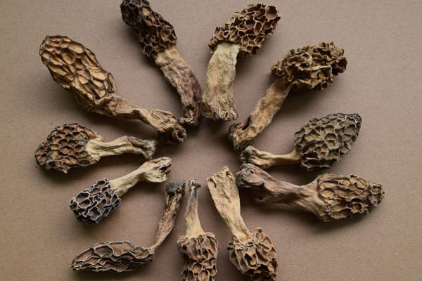 羊肚菌花膠雪梨湯的營養(yǎng)價值 羊肚菌花膠雪梨湯的營養(yǎng)價值