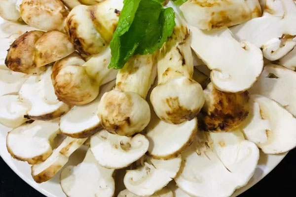 新鮮松茸的四種儲存方法