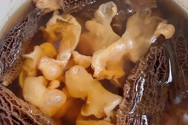 羊肚菌田七花膠湯的做法，有哪些功效作用