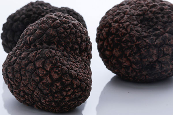 松露可以調(diào)理脾胃嗎，松露有降血壓的功效嗎