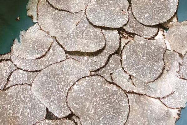 蒸松露比炒松露更好嗎 蒸松露比炒松露更好嗎