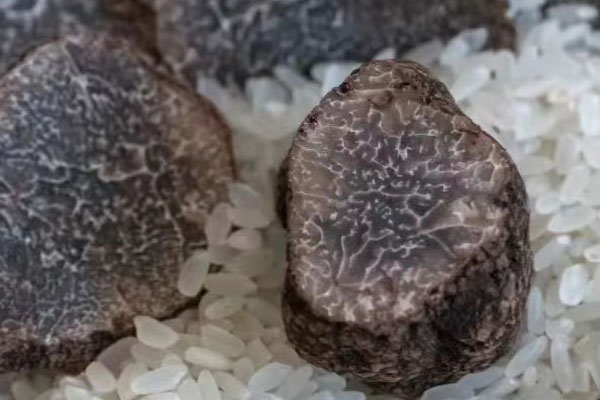 咽炎可以吃松露嗎 咽炎可以吃松露嗎