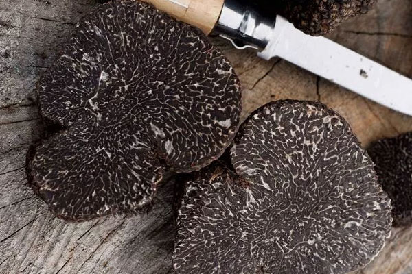 肝硬化能吃黑松露嗎 肝硬化能吃黑松露嗎