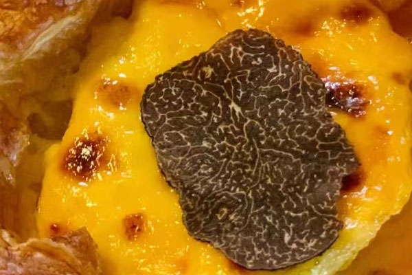 黑松露的食用歷史 黑松露的食用歷史