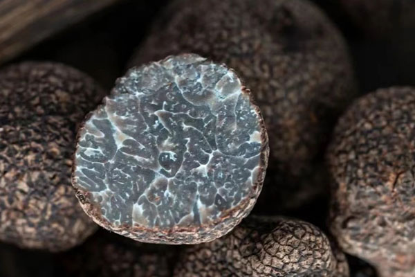 松露可以抗皺嗎，法國人為什么不愿承認(rèn)中國松露