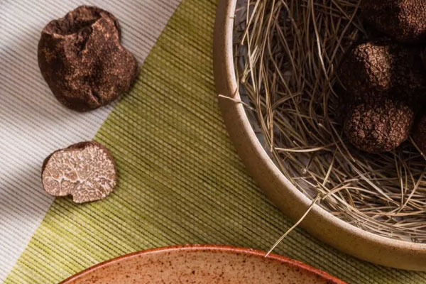 云南松露和國外松露的味道一樣嗎 云南松露和國外松露的味道一樣嗎