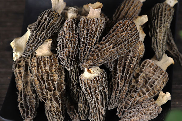 羊肚菌田七花膠湯的營(yíng)養(yǎng)價(jià)值 羊肚菌田七花膠湯的營(yíng)養(yǎng)價(jià)值