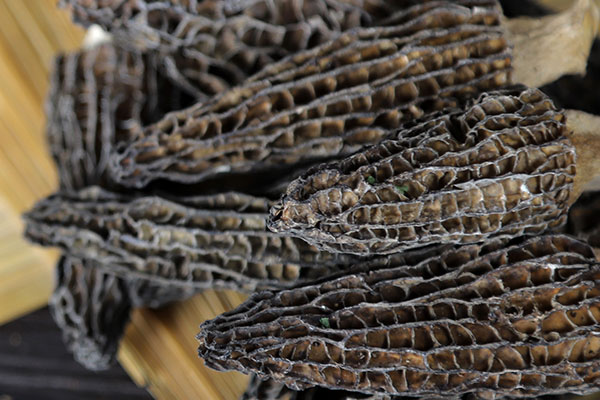 羊肚菌田七花膠湯的食用禁忌 羊肚菌田七花膠湯的食用禁忌