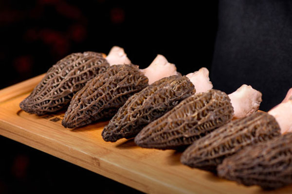 發(fā)育期男孩能吃羊肚菌嗎 發(fā)育期男孩能吃羊肚菌嗎