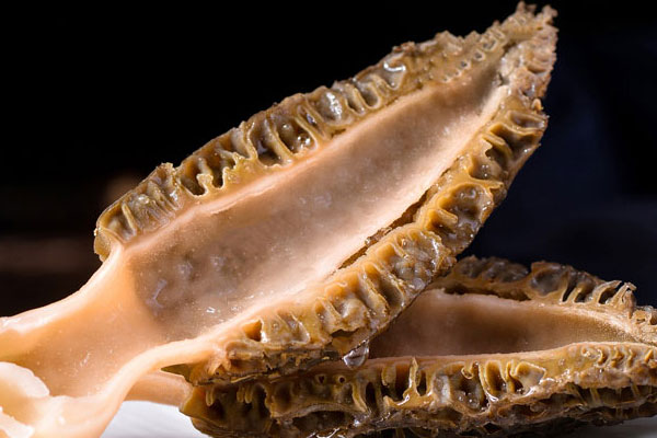 人工種植羊肚菌的技術(shù) 人工種植羊肚菌的技術(shù)