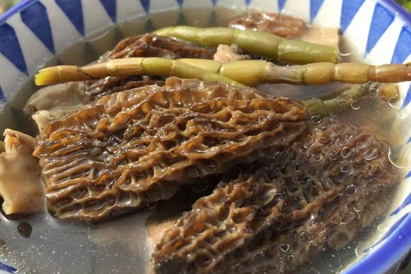 羊肚菌加什么煮湯給小孩喝好