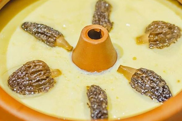 適合孩子吃的羊肚菌食譜