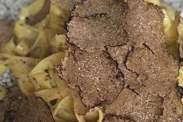 松露為什么叫閃電的女兒