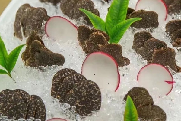 黑松露在東北叫什么