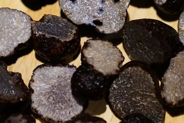 吃藥可以吃黑松露嗎，黑松露怎樣吃營養(yǎng)最好