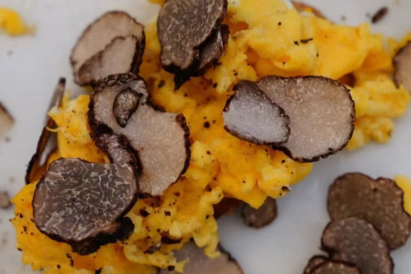 黑松露蒸著吃營養(yǎng)嗎