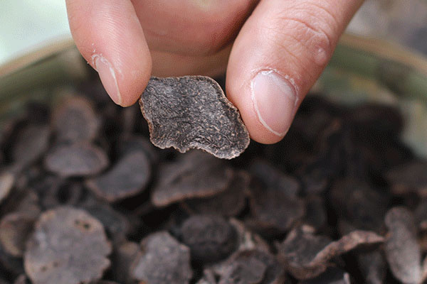 女性喝松露水的功效作用