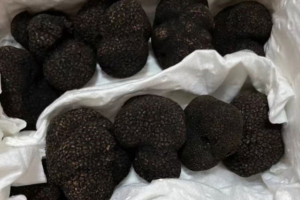 黑松露霸王花排骨湯只喝湯可以嗎