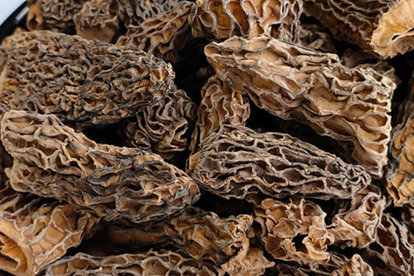 便秘可以吃羊肚菌嗎，羊肚菌可以直接吃嗎
