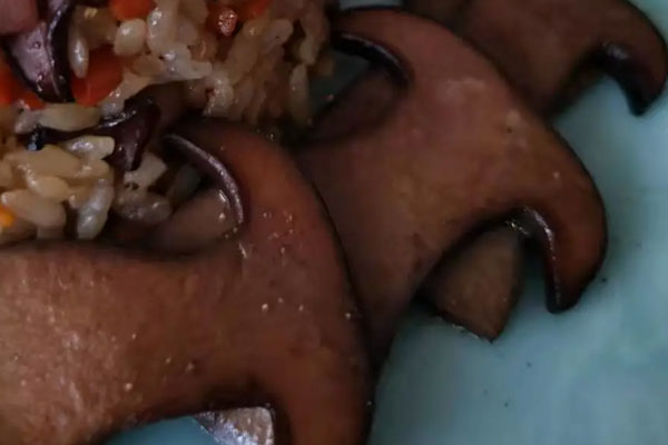 牛肝菌內(nèi)部褐色是壞了嗎，新鮮的黑牛肝菌是什么顏色