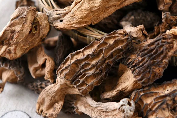 干羊肚菌是不是咸味的，大羊肚菌與小羊肚菌的區(qū)別