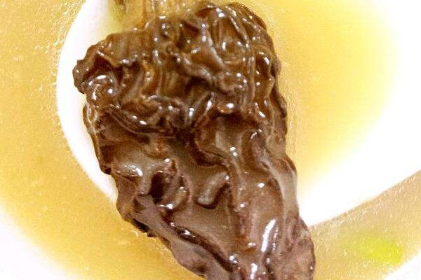 羊肚菌燉甲魚湯的功效與作用