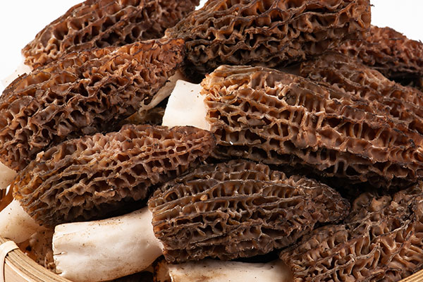 腹瀉可以吃羊肚菌嗎 腹瀉可以吃羊肚菌嗎