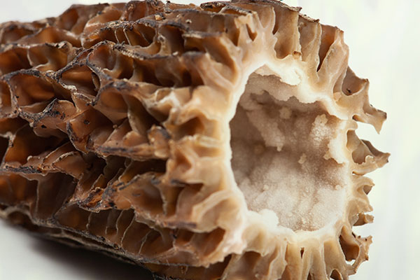 瑪卡和羊肚菌能煲湯嗎 瑪卡和羊肚菌能煲湯嗎