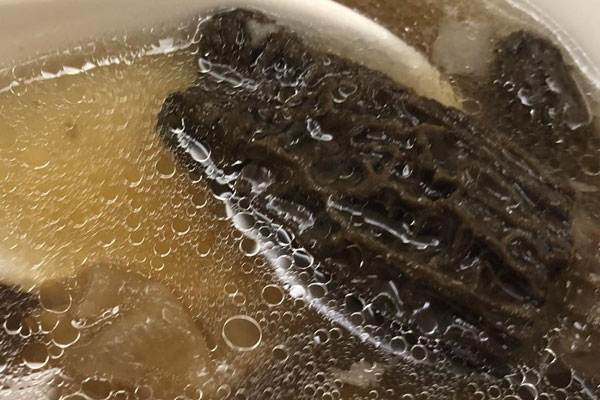 羊肚菌骨頭湯的功效作用 羊肚菌骨頭湯的功效作用