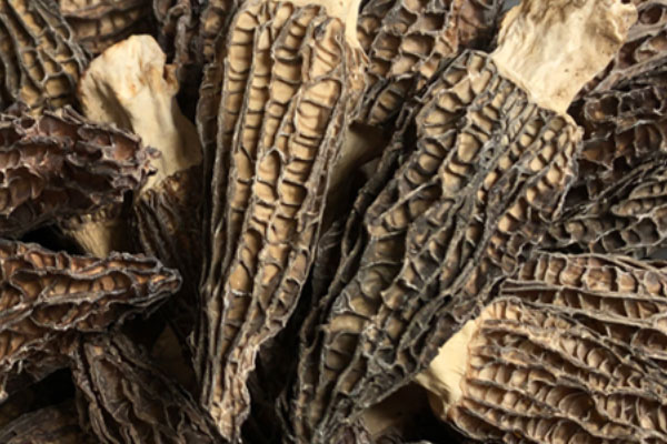 干羊肚菌可以一次吃8個嗎