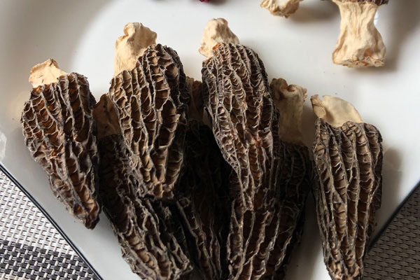 羊肚菌多少天吃一次好 羊肚菌多少天吃一次好