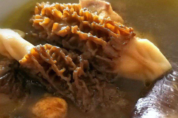 羊肚菌可以每天煲湯喝嗎，口腔潰瘍能吃羊肚菌嗎