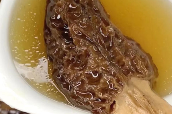 羊肚菌能治療鼻炎嗎