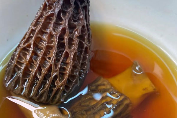 小孩吃羊肚菌會(huì)不會(huì)早熟 小孩吃羊肚菌會(huì)不會(huì)早熟