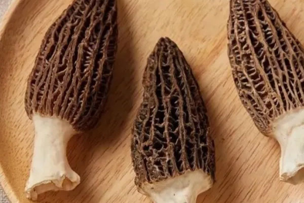 新鮮羊肚菌怎么處理好 新鮮羊肚菌怎么處理好