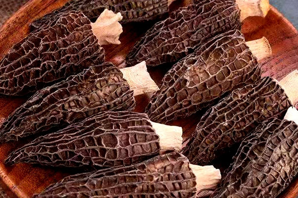 干羊肚菌有營(yíng)養(yǎng)嗎 干羊肚菌有營(yíng)養(yǎng)嗎