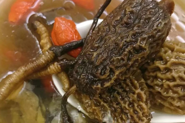 懷孕可以吃羊肚菌湯嗎，羊肚菌老鴨湯是寒的嗎