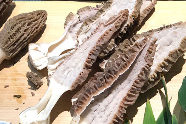 羊肚菌為什么具有降血脂的作用 羊肚菌為什么具有降血脂的作用