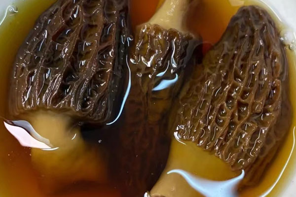 孕婦可以吃羊肚菌牛骨湯嗎，孕婦可以吃羊肚菌鴨湯嗎