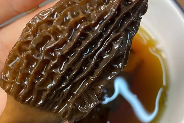 備孕期可以吃羊肚菌嗎，孕婦吃羊肚菌有害處嗎