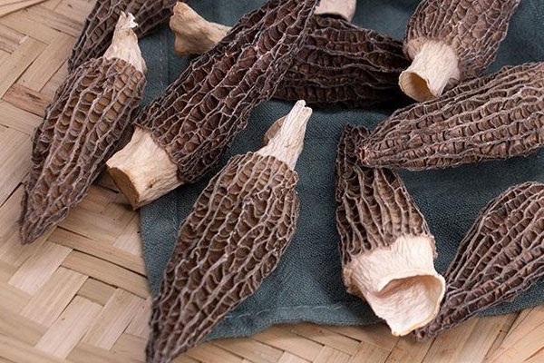 種植羊肚菌吃了有效果嗎，羊肚菌泡了一天一夜還能吃嗎