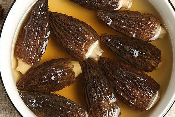 羊肚菌泡了一天一夜還可以吃嗎 羊肚菌泡了一天一夜還可以吃嗎