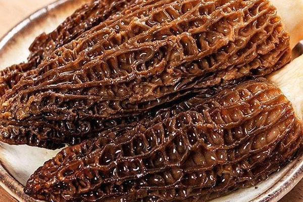 腸胃不好可以吃羊肚菌嗎 腸胃不好可以吃羊肚菌嗎