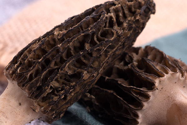 蝦膠煎釀羊肚菌的營養(yǎng)價值 蝦膠煎釀羊肚菌的營養(yǎng)價值