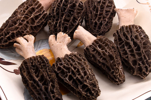 羊肚菌醬香遼參的功效作用 羊肚菌醬香遼參的功效作用