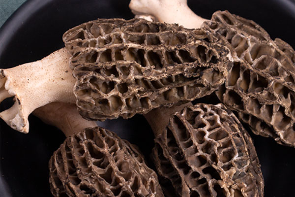 羊肚菌醬香遼參的食用禁忌 羊肚菌醬香遼參的食用禁忌