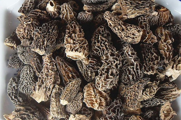 蓮子扣蒸羊肚菌的營養(yǎng)價(jià)值 蓮子扣蒸羊肚菌的營養(yǎng)價(jià)值